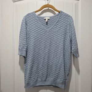 Light Blue V-Neck Women's Sweater